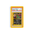 Cardboard Guardian Graded Guardian Bumper (Charizard not included)