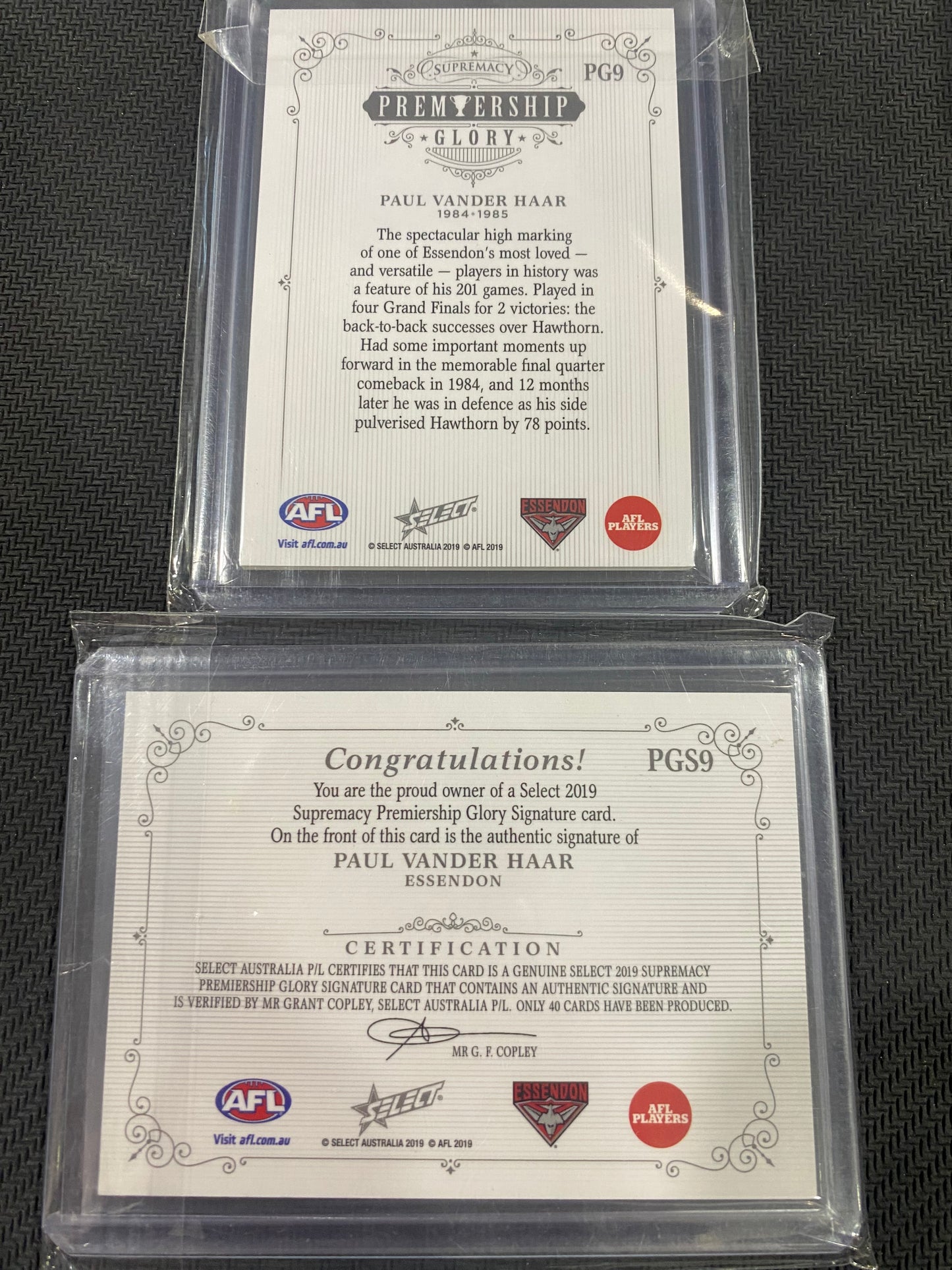 2019 AFL Select - Bundle - Paul Vander Haar - Premiership Glory insert 40/40 & Premiership Glory Signature 20/40