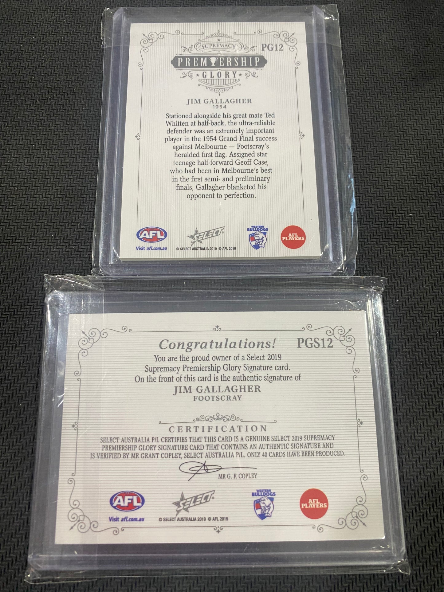 2019 AFL Select Supremacy - Bundle - Jim Gallagher - Premiership Glory Insert 10/40 & Premiership Glory Signature 22/40