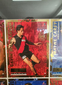 1995 Bewick Enterprises Football Quarters Series 1 & 2 uncut signature sheets Framed