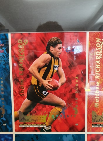 1995 Bewick Enterprises Football Quarters Series 1 & 2 uncut signature sheets Framed